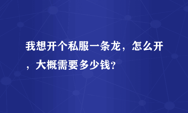 我想开个私服一条龙，怎么开，大概需要多少钱？