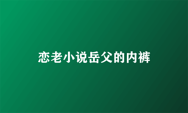 恋老小说岳父的内裤