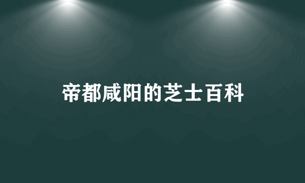 帝都咸阳的芝士百科