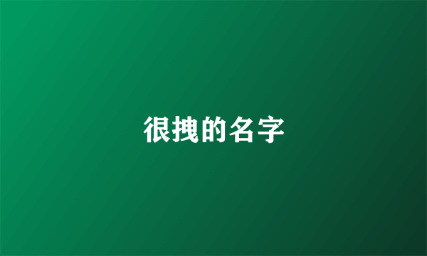 很拽的名字