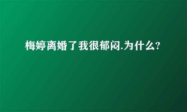 梅婷离婚了我很郁闷.为什么?