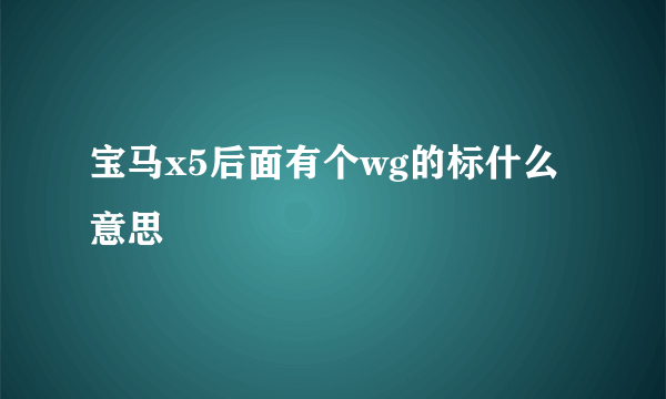 宝马x5后面有个wg的标什么意思