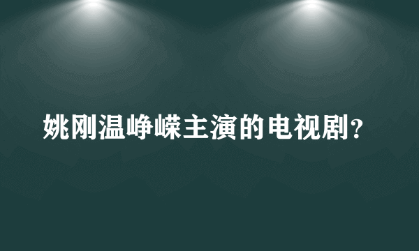 姚刚温峥嵘主演的电视剧？