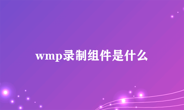 wmp录制组件是什么