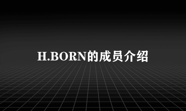 H.BORN的成员介绍