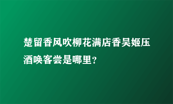 楚留香风吹柳花满店香吴姬压酒唤客尝是哪里？