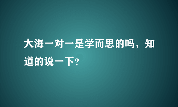 大海一对一是学而思的吗，知道的说一下？