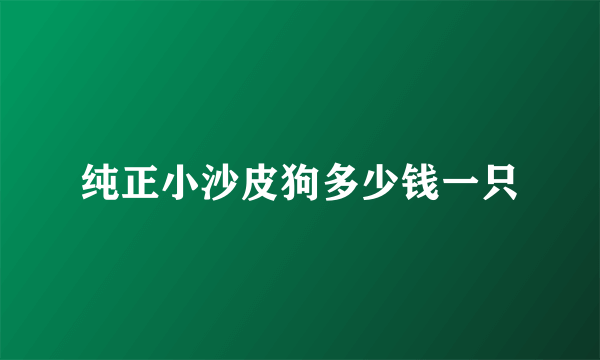 纯正小沙皮狗多少钱一只