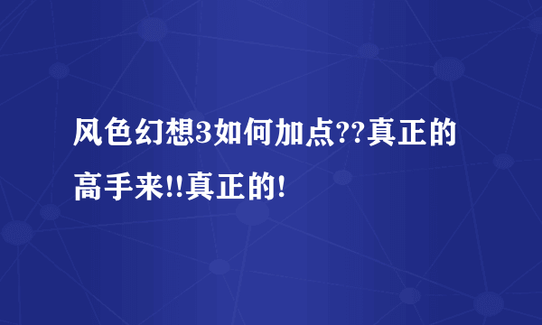 风色幻想3如何加点??真正的高手来!!真正的!