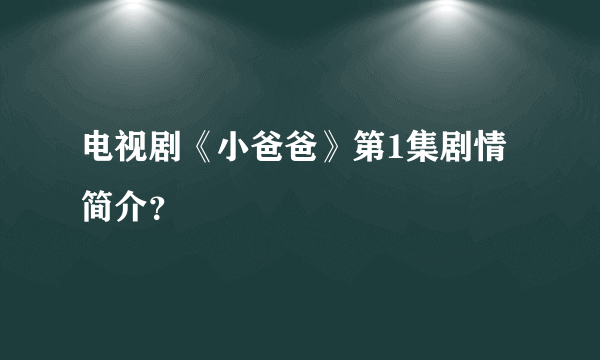 电视剧《小爸爸》第1集剧情简介？