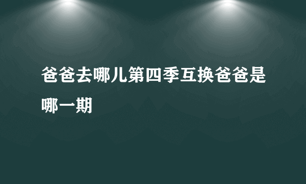 爸爸去哪儿第四季互换爸爸是哪一期