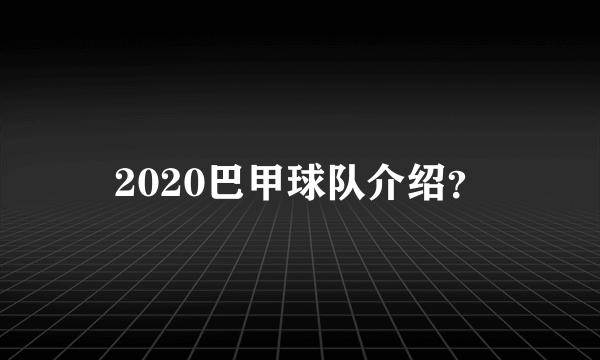 2020巴甲球队介绍？