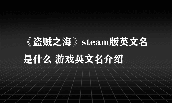 《盗贼之海》steam版英文名是什么 游戏英文名介绍