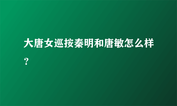 大唐女巡按秦明和唐敏怎么样？