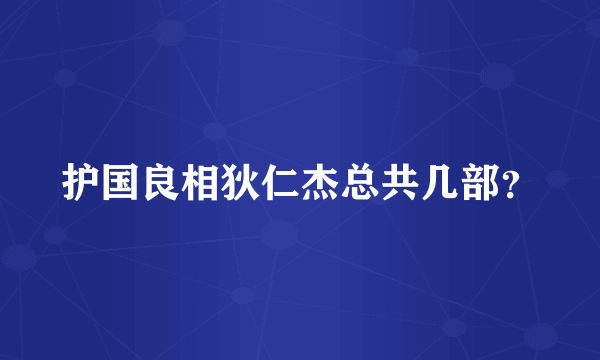 护国良相狄仁杰总共几部？