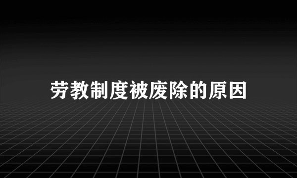 劳教制度被废除的原因