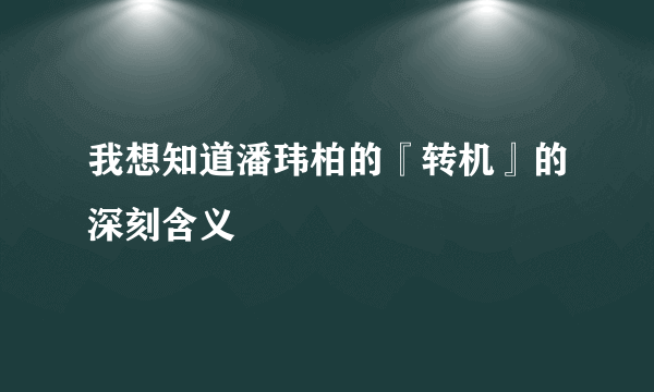 我想知道潘玮柏的『转机』的深刻含义