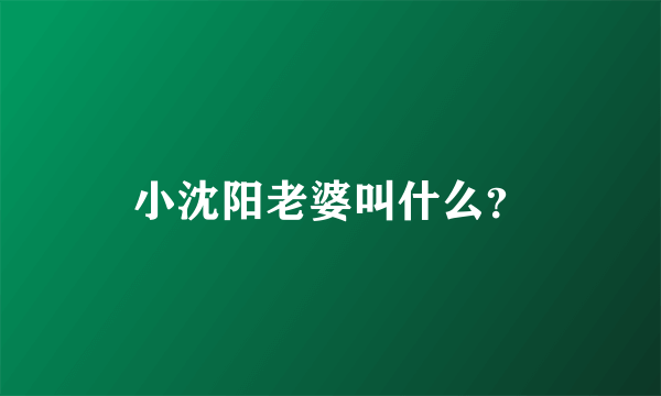 小沈阳老婆叫什么？