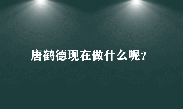 唐鹤德现在做什么呢？