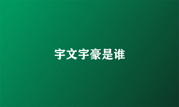 宇文宇豪是谁