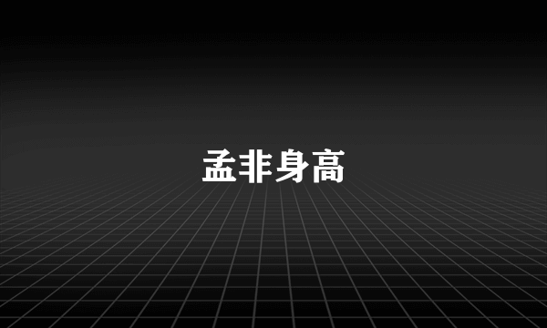 孟非身高