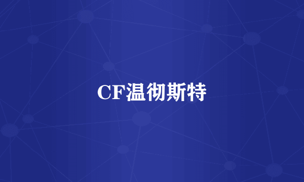 CF温彻斯特