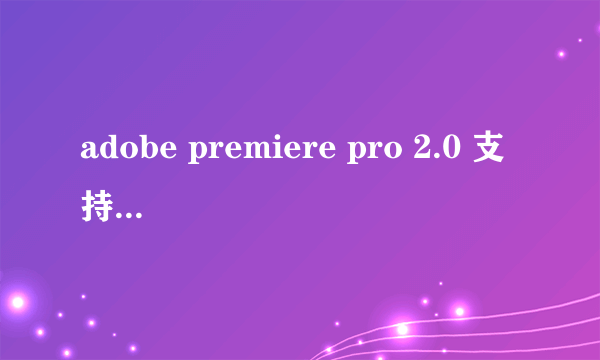 adobe premiere pro 2.0 支持win7 64位系统吗？