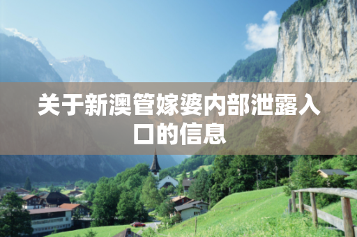 关于新澳管嫁婆内部泄露入口的信息